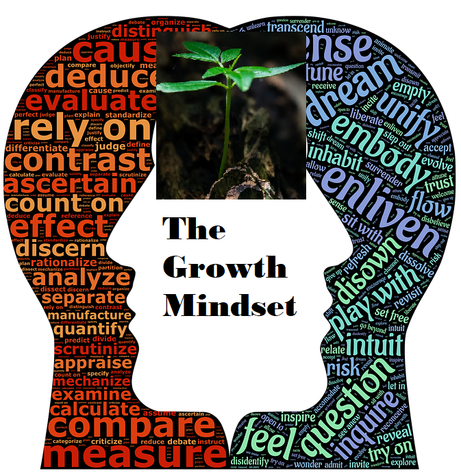 THE GROWTH MINDSET- INTRODUCTION.